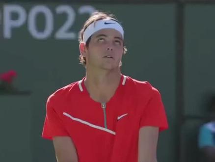 疯狂地在场 疯狂地在场